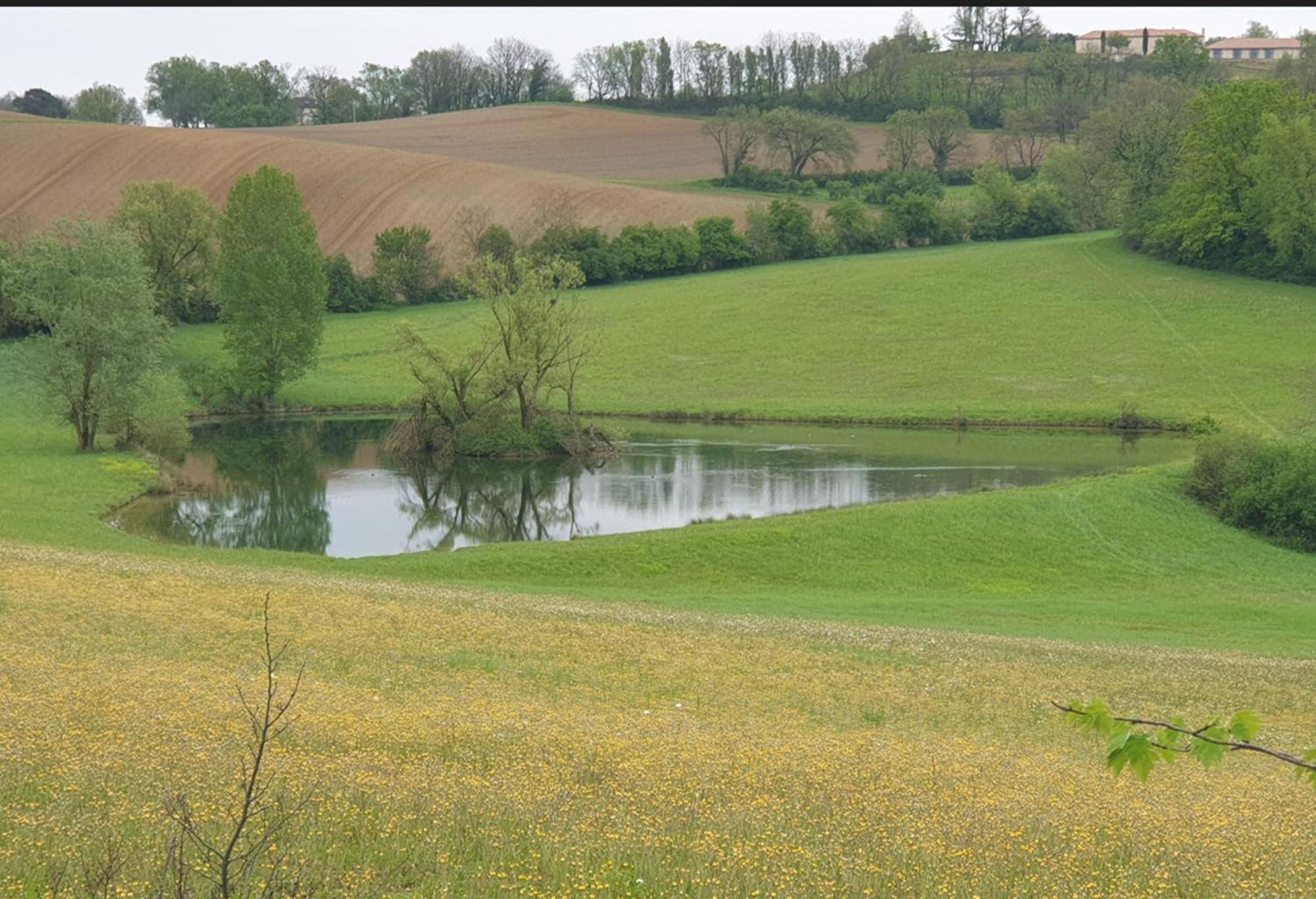 Love Room- Spa- Escale Amoureuse Puygaillard-de-Quercy المظهر الخارجي الصورة